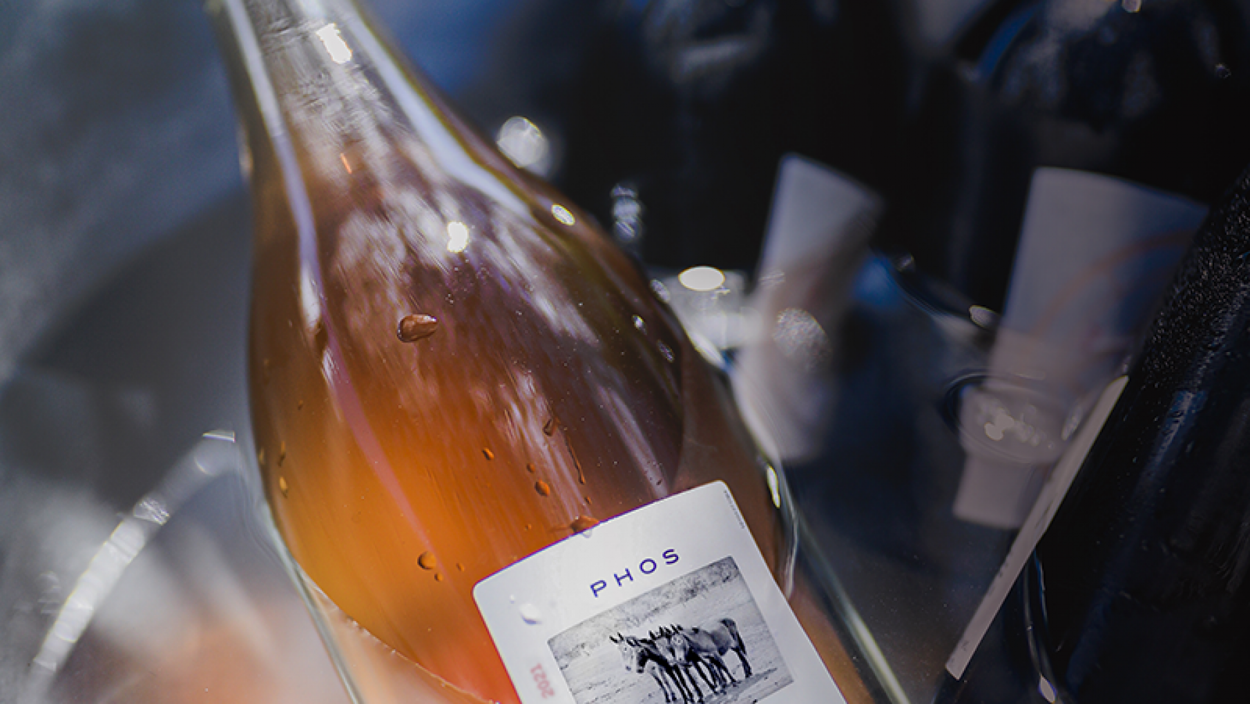 ALMA 4 PRESENTA LA NUEVA AÑADA DE PHOS